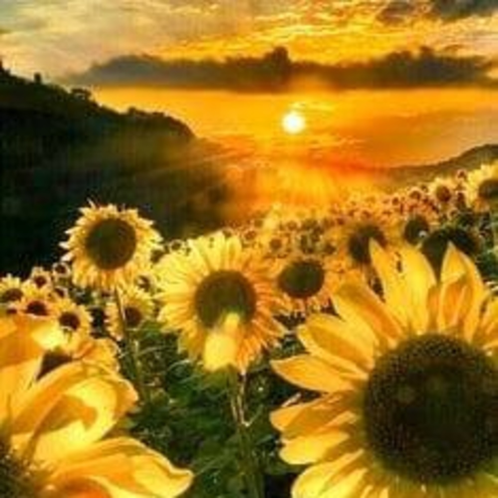 Meet your Posher, Jody